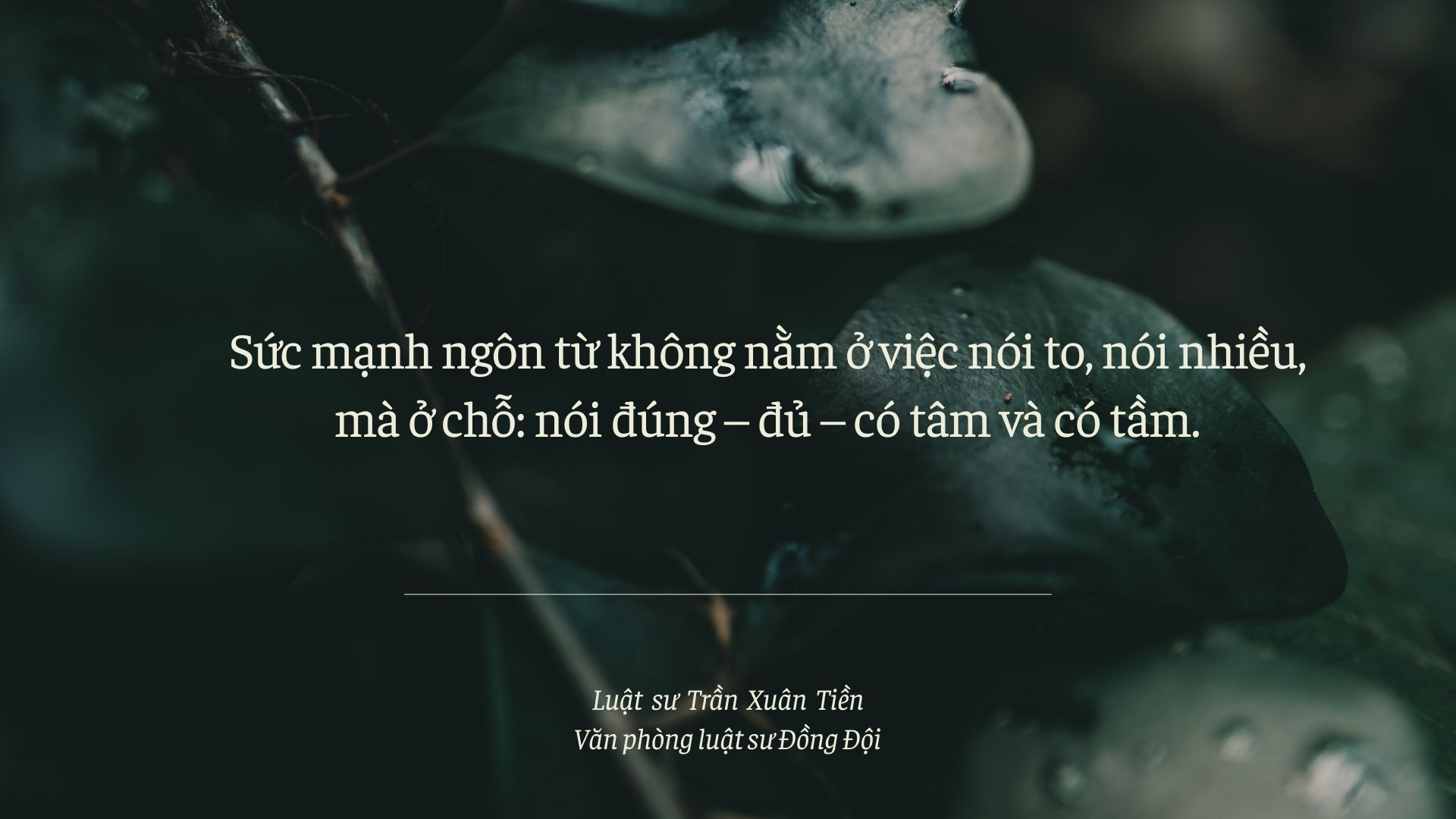 Hinh nen may tinh Kito giao Mau be Xanh la Xanh la dam Anh lam trong tam Thanh lich