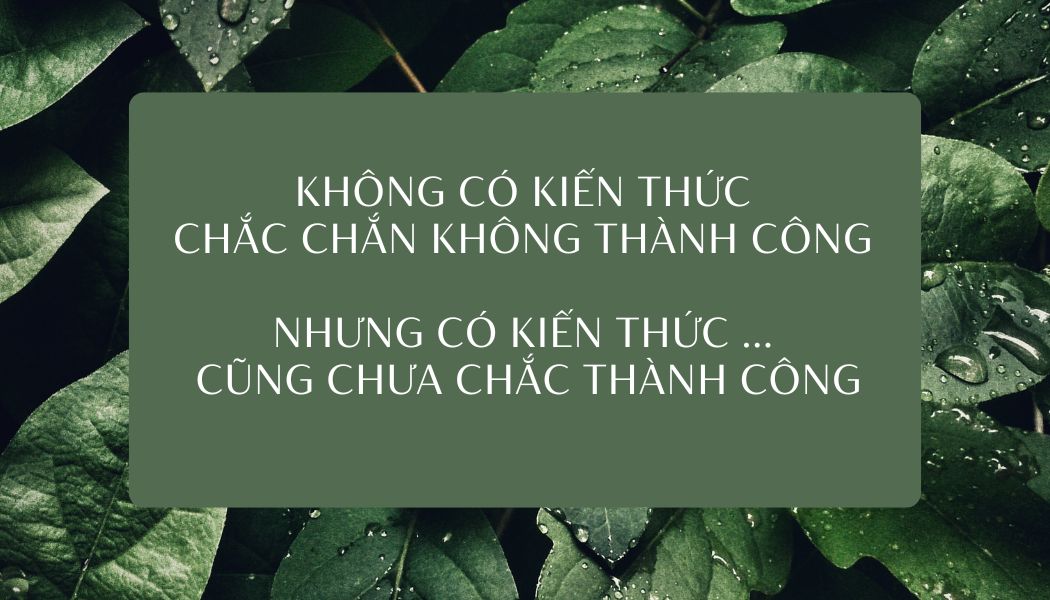 Xanh la Anh lam trong tam Phi loi nhuan Ma QR Danh thiep
