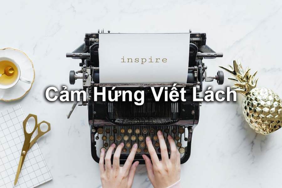 1565073761451 duy tri cam hung viet lach