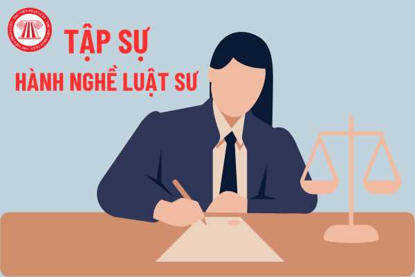 TẬP SỰ HÀNH NGHỀ LUẬT SƯ PHẢI LÀ THỰC CHẤT, KHÔNG THỂ CHỈ LÀ HÌNH THỨC 1 tap su hanh nghe luat su